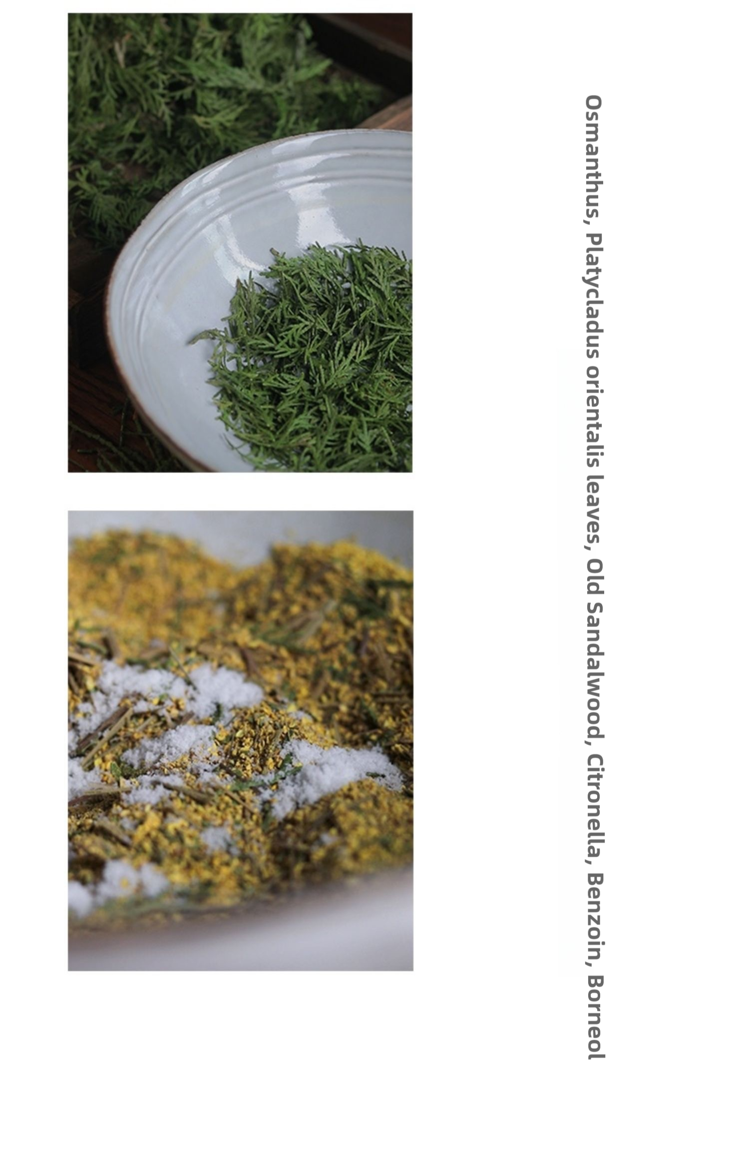 Fragrance-Ingredients