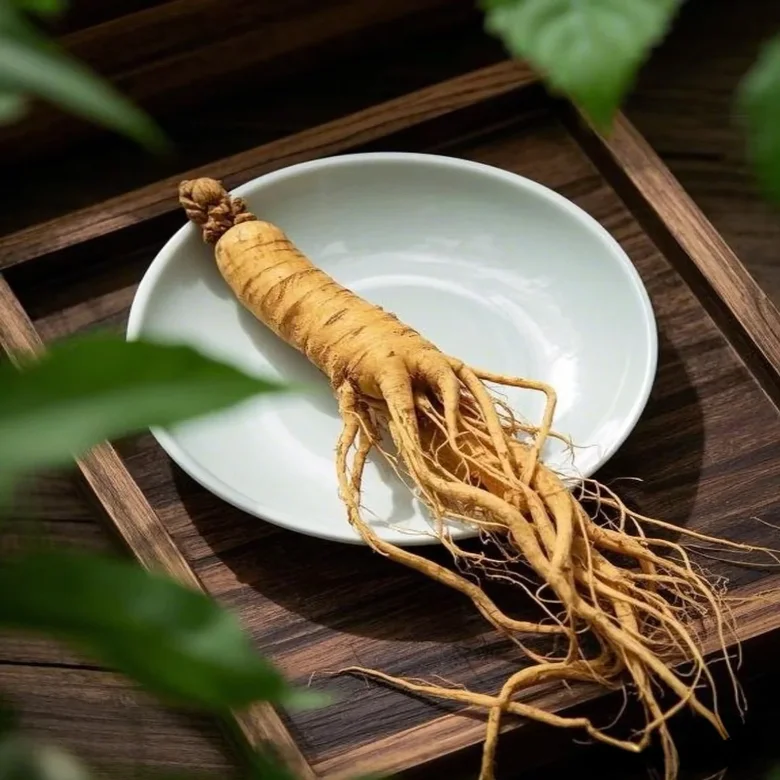 Health-benefits-of-ginseng-for-busy-moms