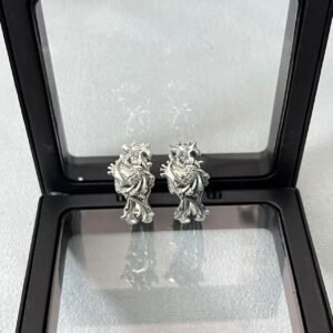 Silver earrings in black display case