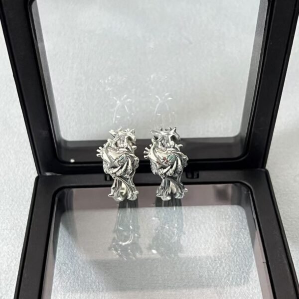 Silver earrings in black display case