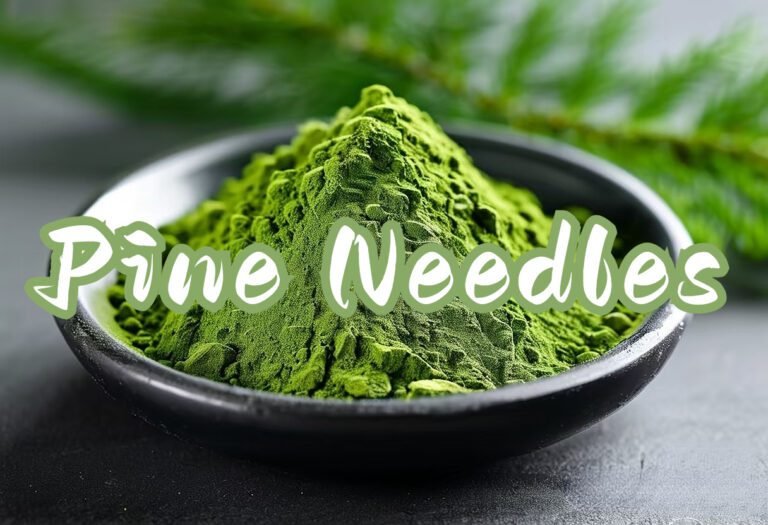 Green pine needle powder in black bowl, natural forest health