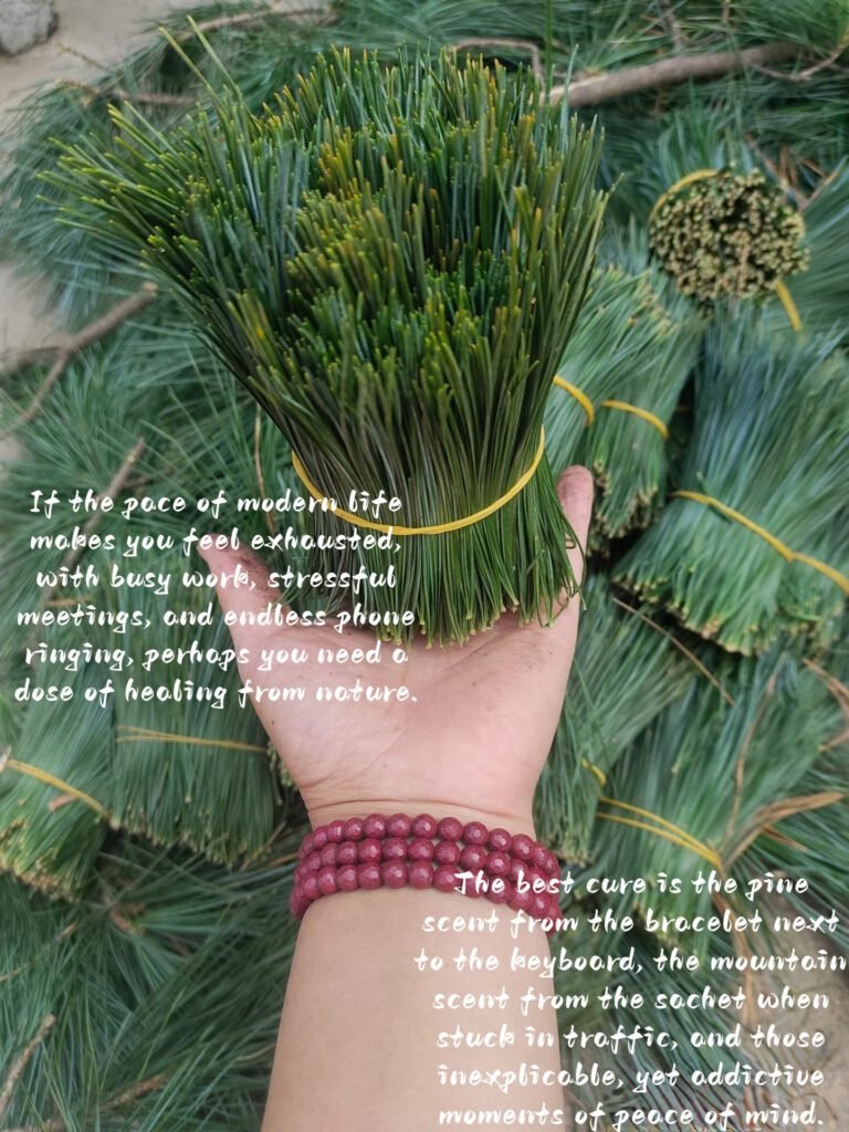 Hand holding fresh pine needles, red bracelet, nature healing