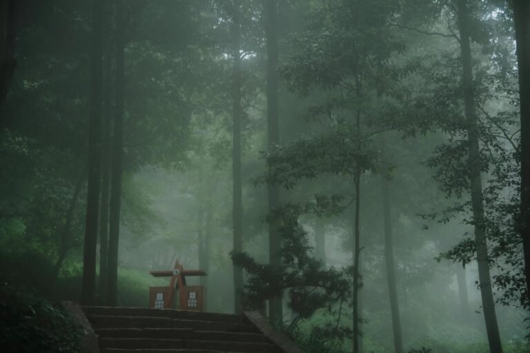 Dragonheart misty forest with spiritual altar in Eastern tradition