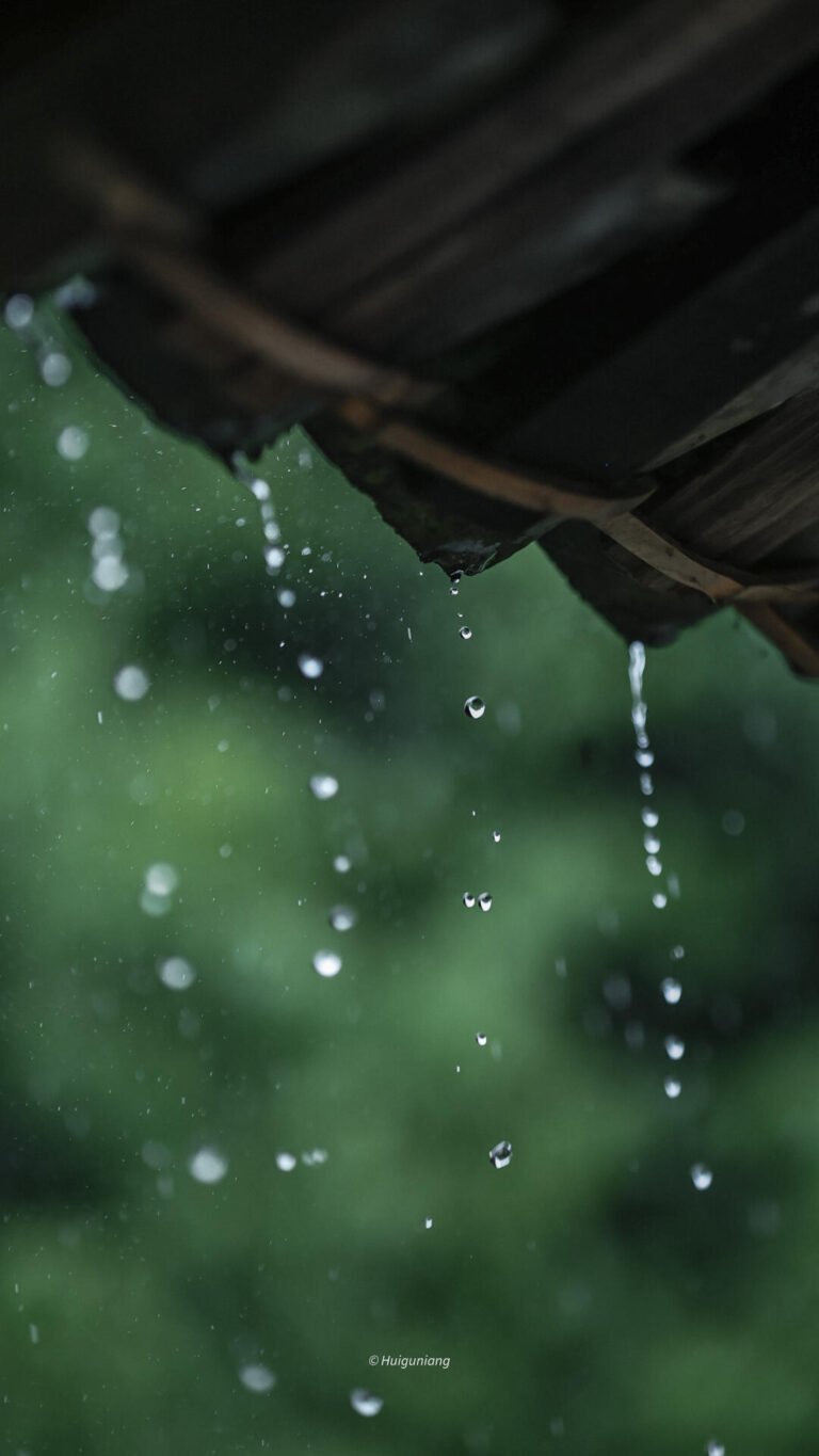 🌿 Integrating Oriental Herbal Aromas into Everyday Life: 8 Gentle Rituals to Soothe the Soul